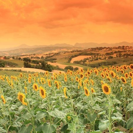 Casa Vacanze Angelica Ostra Vetere Bagian luar foto