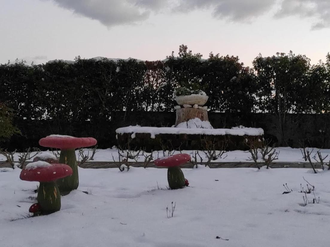 Casa Vacanze Angelica Ostra Vetere Bagian luar foto