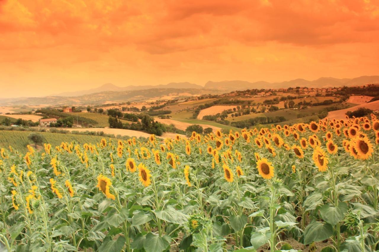 Casa Vacanze Angelica Ostra Vetere Bagian luar foto
