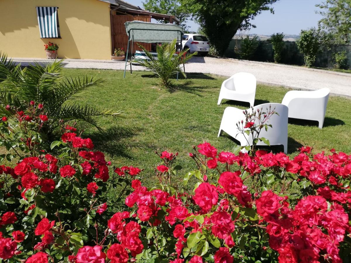 Casa Vacanze Angelica Ostra Vetere Bagian luar foto
