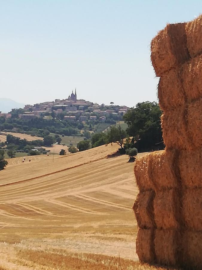 Casa Vacanze Angelica Ostra Vetere Bagian luar foto