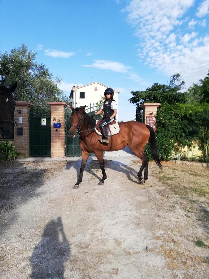Casa Vacanze Angelica Ostra Vetere Bagian luar foto