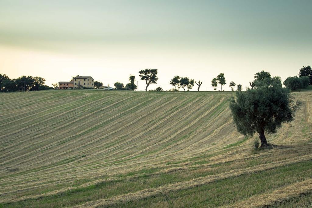 Casa Vacanze Angelica Ostra Vetere Bagian luar foto